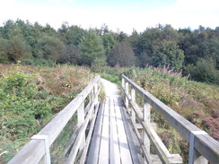 P2012DSC02615	A footbridge on the path above the Kilburn White Horse.