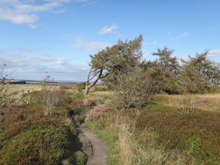 P2012DSC02652	The path heading past Hambleton Down.