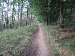 P2012DSC02659	Heading north from Sneck Yate Bank.