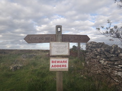 P2012DSC02669	A Cleveland Way fingerpost outside Boltby Forest.