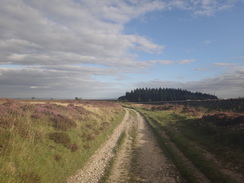 P2012DSC02671	Looking back tyowards Boltby Forest. 