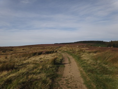 P2012DSC02741	The path across Scarth Wood Moor.