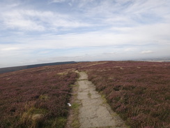 P2012DSC02763	The path across Gold Hill.