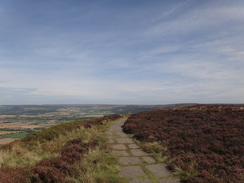 P2012DSC02804	The good path heading east from the Wain Stones.