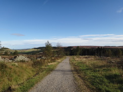 P2012DSC02876	The descent north off Easby Moor.