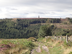 P2012DSC02883	The view back over Easby Moor from the climb onto Great Ayton Moor.