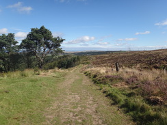 P2012DSC02947	Following the trail east through Guisborough Woods.