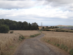 P2012DSC02960	Following Airy Hill Lane northeastwards.