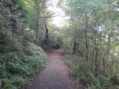 P2012DSC02975	Following the path through the nature reserve towards Saltburn.