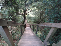 P2012DSC03158	The descent down to the old railway line to the north of Sandsend.