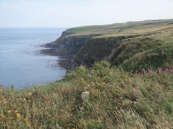 P2012DSC03243	Following the coast southeast from Whitby Lighthouse.