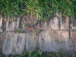 P2012DSC03304	Old bricks forming the track leading to Ravenscar.