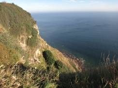 P2012DSC03313	The cliffs at Ravenscar.