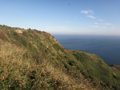 P2012DSC03319	Heading along the cliffs away from Ravenscar.