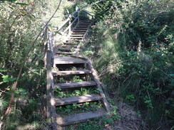 P2012DSC03332	Steps leading down into Hayburn Wyke.