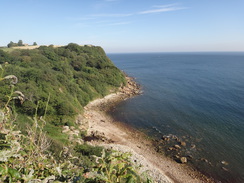 P2012DSC03340	Looking back over Hayburn Wyke.