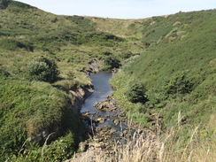 P2012DSC03372	Scalby Beck.