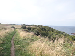 P2012DSC03446	The path along Frank Cliff.