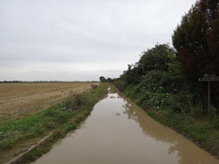 P2012DSC03721	Following Fodderfen Drove northwards from Upware.