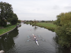 P2012DSC03769	Rowers on the Great Ouse in Ely.