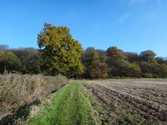 P2012DSC03809	The path leading north towards Coppersale.