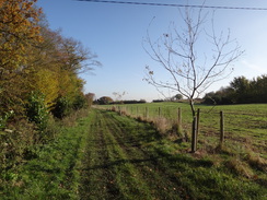 P2012DSC03838	Following the trail east towards Greensted.