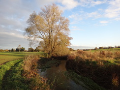 P2012DSC03901	Following the River Roding northwards towards Cannon's Green.