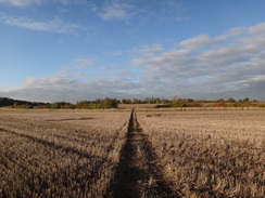 P2012DSC03917	Following the trail east towards Willingale.