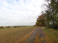 P2012DSC03984	Following the trail east towards Pleshey.