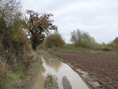 P2012DSC04003	Following the Walthambury Brook east from Pleshey.