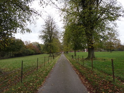 P2012DSC04009	A driveway leading to Langleys.