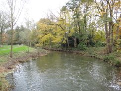 P2012DSC04015	The River Chelmer.