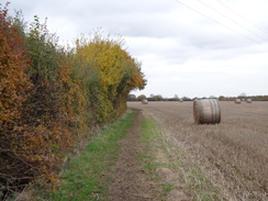 P2012DSC04025	Following the trail northeastwards towards Chatham Green.