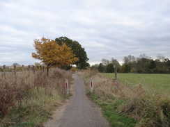 P2012DSC04043	The closed Whites Lane.