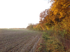 P2012DSC04057	Following the trail southeast from Deres Bridge.