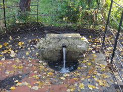 P2012DSC04070	A spring near Great Leighs church.