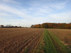 P2012DSC04076	The path heading east towards Terling.