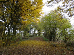 P2012DSC04102	The track heading east from Troys Hall.