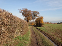 P2012DSC04133	Heading east beside the River Blackwater.