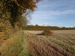 P2012DSC04161	Following the trail east from Coggleshall.