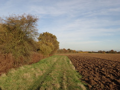 P2012DSC04167	Following the trail northeastwards towards Great Tey.