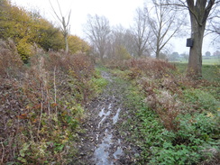 P2012DSC04233	A muddy path to the east of Fordstreet.