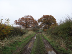 P2012DSC04239	Following a track towards Cook's Hall farm.