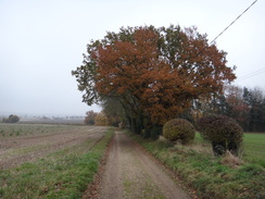 P2012DSC04292	Heading east towards Langham.