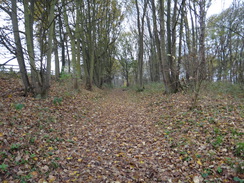 P2012DSC04299	The path leading up towards Langham church.