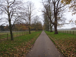 P2012DSC04308	The track near Langham church.