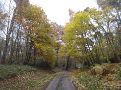 P2012DSC04312	Following the track southeast from Langham church.