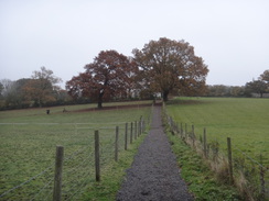 P2012DSC04340	Heading east past Dedham Heath.