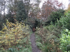 P2012DSC04346	The scrubland by the raiway line near Aldercar.