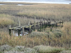 P2013DSC04757	An old walkway in the marshes.